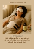 Gói dầu thầu dầu hữu cơ