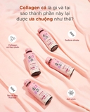 Nước Uống Làm Đẹp Da Girl Collagen Bổ Sung Collagen Và Vitamin C 100ml x 10PCS