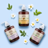 Dung Dịch Vệ Sinh Phụ Nữ Zelenaya Apteka Kháng Khuẩn Và Giảm Viêm 370ml