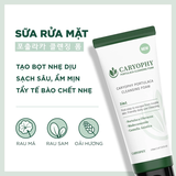 Sữa Rửa Mặt Caryophy Portulaca Cleansing Foam Ngăn Ngừa Mụn Giảm Thâm 150ml