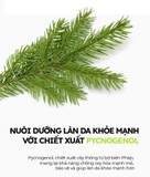 Kem Chống Nắng Dưỡng Ẩm, Chống Ánh Sáng Xanh Dành Cho Da Nhạy Cảm Dr.G Green Mild Up Sun Essence SPF50+ PA++++ 50ml