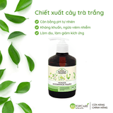 Dung Dịch Vệ Sinh Phụ Nữ Zelenaya Apteka Kháng Khuẩn Và Giảm Viêm 370ml