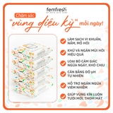 Khăn Ướt Vệ Sinh Vùng Kín Hằng Ngày Cao Cấp Femfresh Intimate Skincare Daily Wipes
