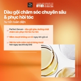 Dầu Gội Mise En Scène Hỗ Trợ Phục Hồi Tóc Hư Tổn