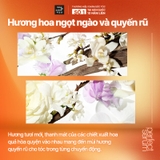 Dầu Xả Mise En Scène Dưỡng Suôn Mượt Cho Tóc Uốn