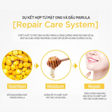 Kem Dưỡng Forencos Dầu Marula Dưỡng Sáng Da Ban Đêm