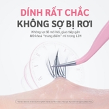 Lông Mi Giả Tự Dính Mlen Diary