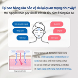 Kem Dưỡng Phục Hồi Some By Mi Beta Panthenol Repair Cream 50ml