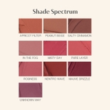 Son Thỏi Lì Bền Màu, Nhẹ Môi 3CE Blur Matte Lipstick 4g