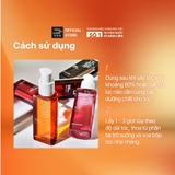 Tinh Chất Dưỡng Tóc Mise En Scène Phục Hồi Hư Tổn