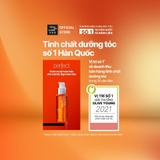 Tinh Chất Dưỡng Tóc Mise En Scène Phục Hồi Hư Tổn