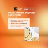 Dầu Gội Mise En Scène Hỗ Trợ Phục Hồi Tóc Hư Tổn