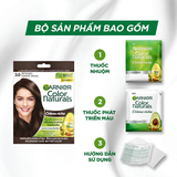 Kem Nhuộm Tóc Garnier Color Naturals Crème Riche 30g