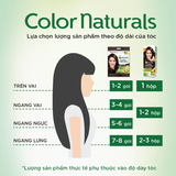 Kem Nhuộm Tóc Garnier Color Naturals Crème Riche 30g