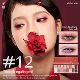 Bảng Phấn Mắt Cheeryep 16 Ô Natural Star Đa Năng