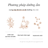 Son Tint Black Rouge Double Layer Over Velvet Ver 3 4.1g