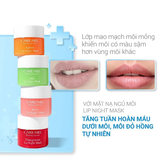 Mặt Nạ Ngủ Môi Care:Nel Lip Night Mask Dưỡng Ẩm, Hồng Môi 5g