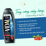 Sữa Tắm Gội 2 In 1 Vidal Dành Cho Cả Gia Đình 500ml