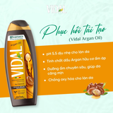 Sữa Tắm Gội 2 In 1 Vidal Dành Cho Cả Gia Đình 500ml