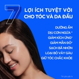 Dầu Gội Và Xả 2in1 Sạch Gàu Head&Shoulders Mỹ Sạch Sâu 613ml