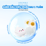 Sữa Rửa Mặt Ngừa Mụn Senka Perfect Whip Acne Care 100g