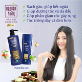 Dầu Gội Dược Liệu Nguyên Xuân Sạch Gàu