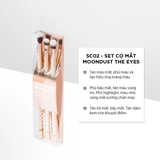 Bộ Kit 3 Cọ Mắt Vacosi SC02, Phiên Bản Golden Dragon