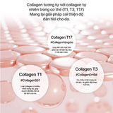 Mặt Nạ Thạch MediAnswer Vita Collagen Mask 37g x 5 Miếng