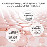 Mặt Nạ Thạch MediAnswer Pore Collagen Mask 37g x 5 Miếng