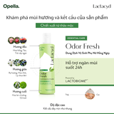 Dung Dịch Vệ Sinh Phụ Nữ Lactacyd