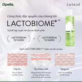 Dung Dịch Vệ Sinh Phụ Nữ Lactacyd
