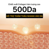 Mặt Nạ Mắt Giảm Quầng Thâm Và Nếp Nhăn MediAnswer Vita Collagen Eye Cream Patch (60 miếng)