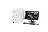 Scanning Electron Microscope (SEM)