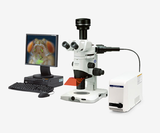 Stereo microscope SZX16