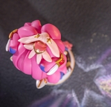 Figure Chibi Kai'sa Star Guardian