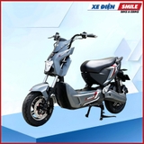 XE MÁY ĐIỆN DIBAO XMAN-LEO