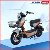XE MÁY ĐIỆN DIBAO MXS