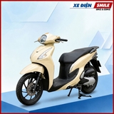 Xe điện DETECH SOLO (P) 2 Pin