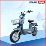 XE MÁY ĐIỆN DIBAO AMY