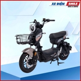 XE MÁY ĐIỆN DIBAO MXS