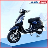XE MÁY ĐIỆN DIBAO PANSY SQ2