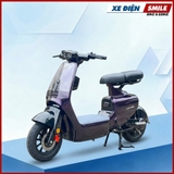 XE ĐIỆN LUYUAN PRO