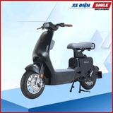 XE MÁY ĐIỆN DIBAO ELLA