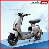 Xe Điện Dv Motor Takashi Money Pro (48V-23Ah) 4 Bình