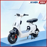 XE ĐIỆN LUYUAN