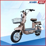 XE MÁY ĐIỆN DIBAO AMY
