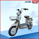 XE MÁY ĐIỆN DIBAO AMY