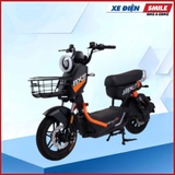 XE MÁY ĐIỆN DIBAO MXS