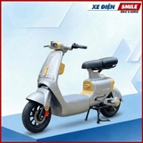 XE ĐIỆN LUYUAN PRO