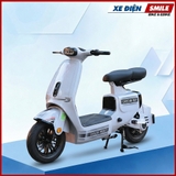 Xe Điện Dv Motor Takashi Money Pro (48V-23Ah) 4 Bình